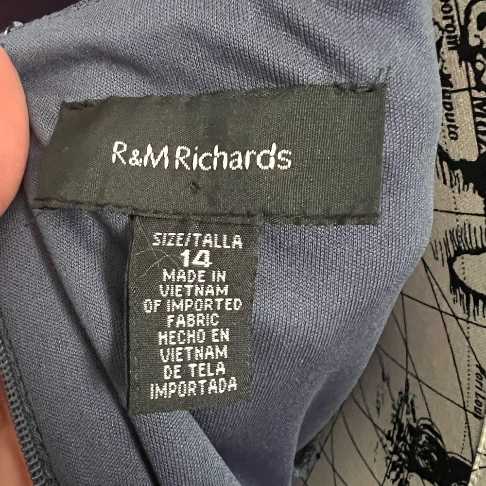 R&M Richards Sleeveless Sequin Fringe Dress - Picture 11 of 12